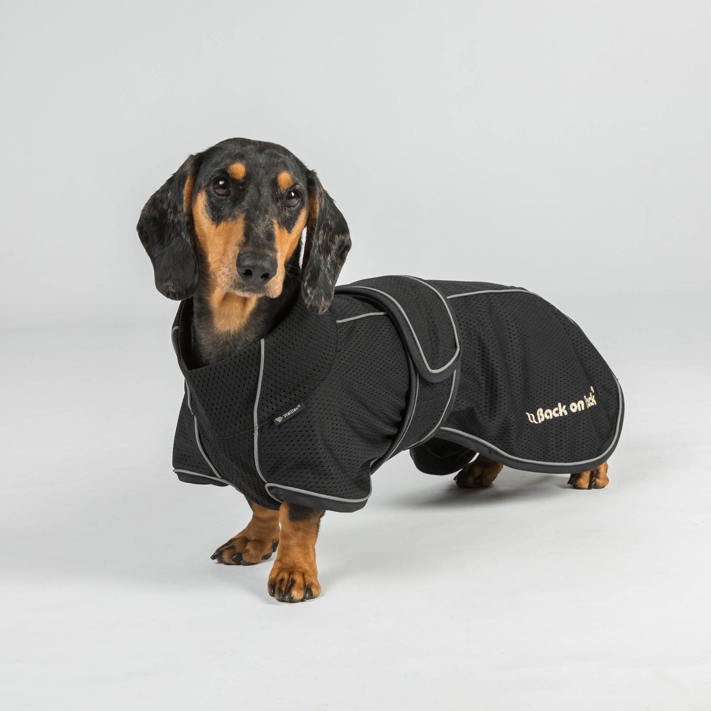 BUDDY 2.0 Mesh Hondenjas