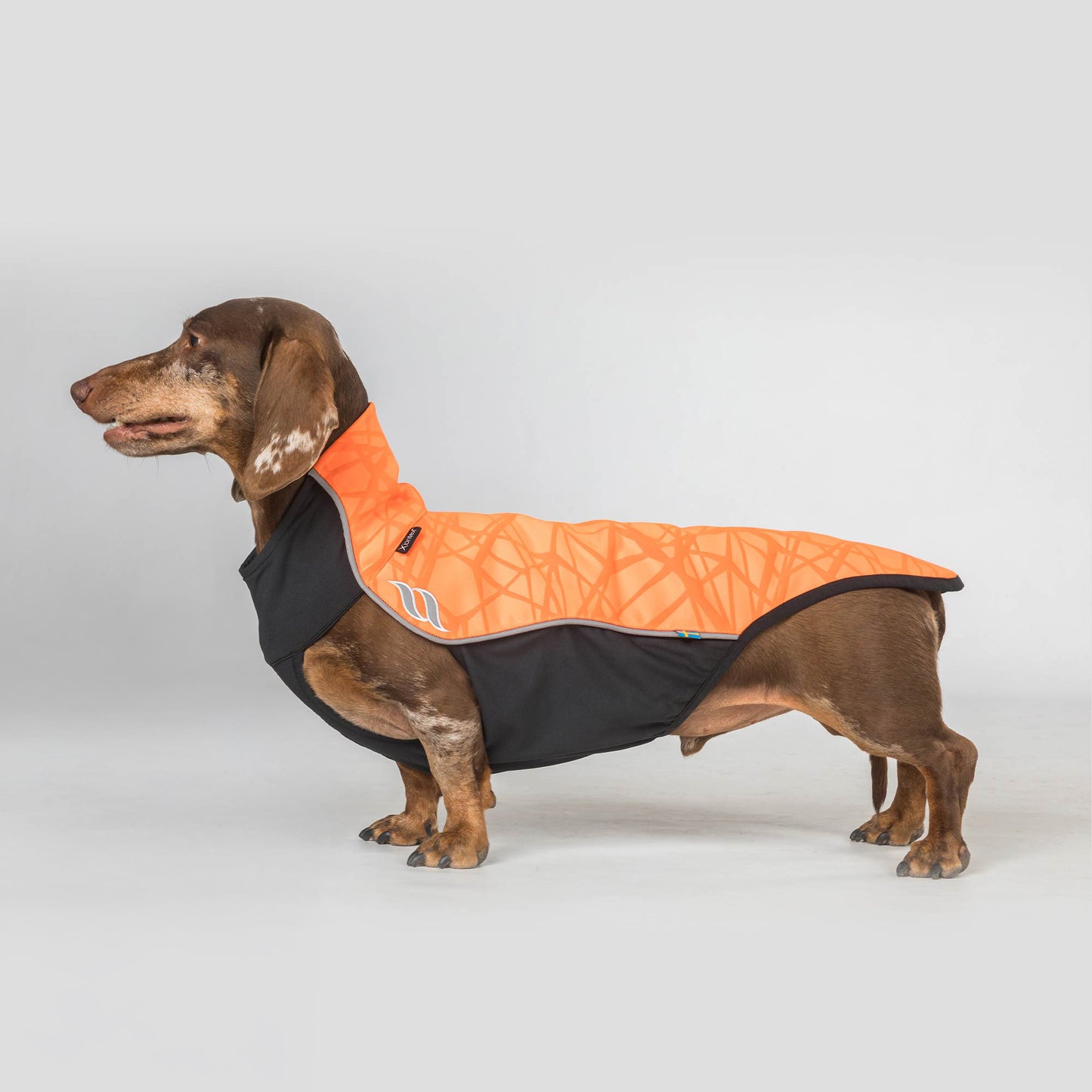 "Eddie" Petite Dog Jumper
