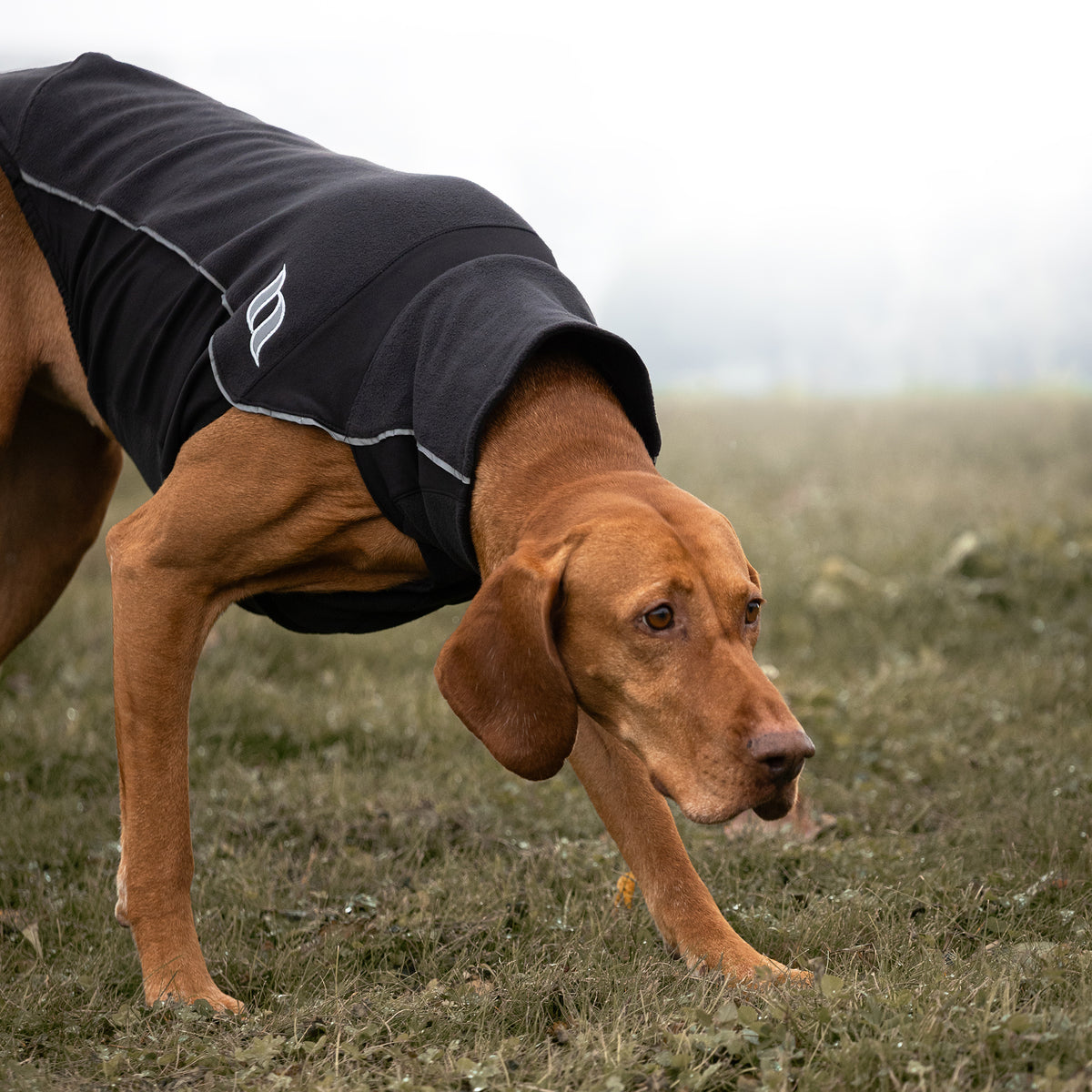 BARK Baselayer-Hundepullover