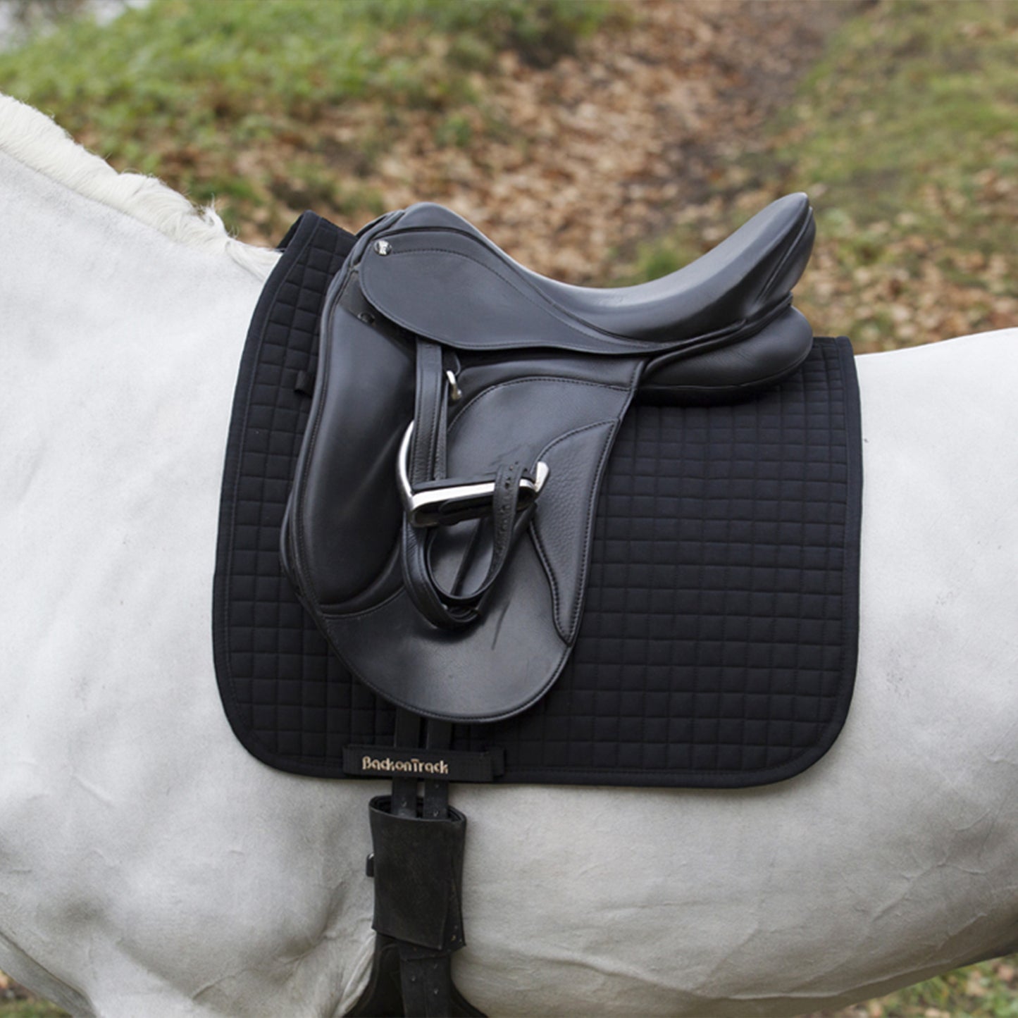 Saddle Pad Dressage No 1