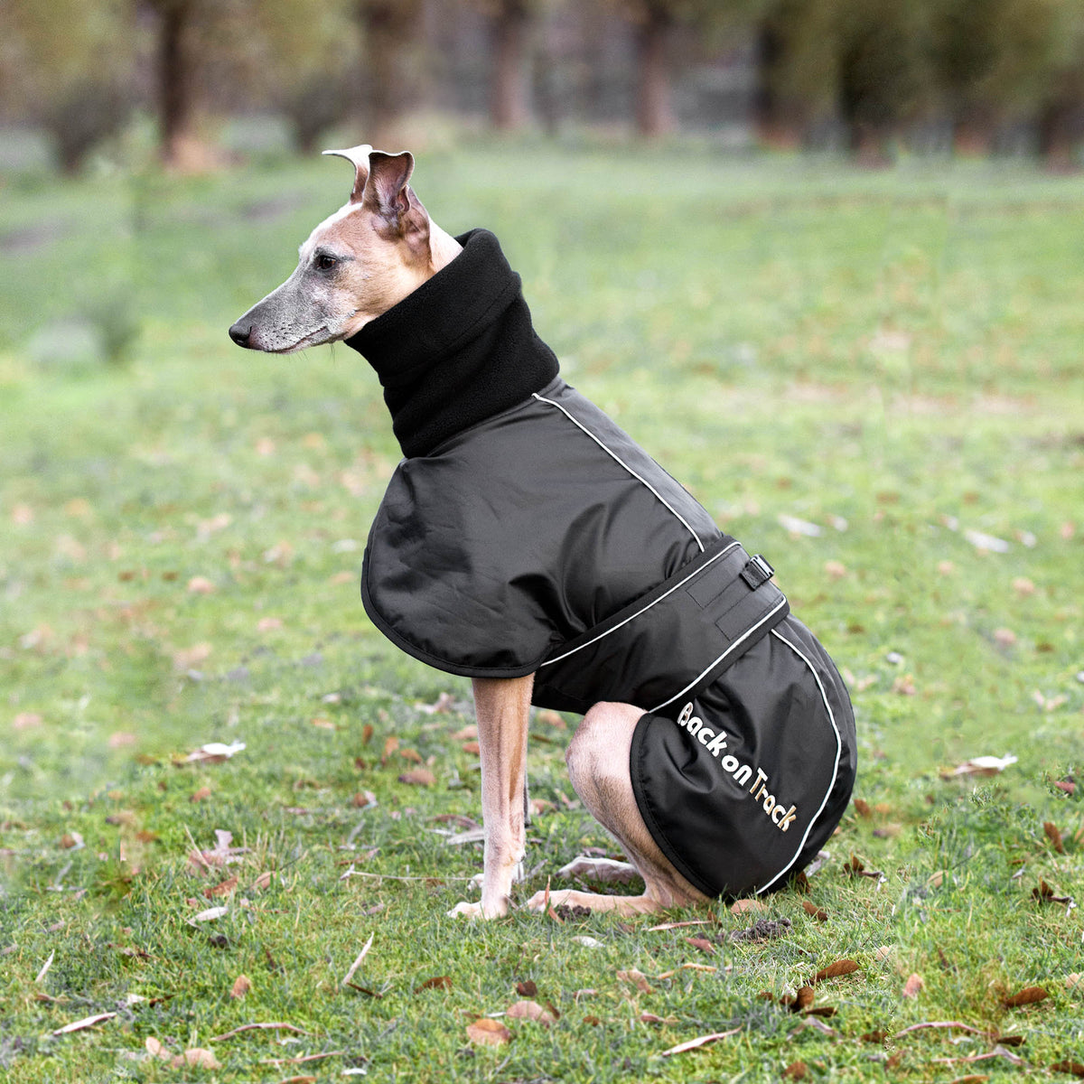 Whippets-trui: stijl, warmte en comfort - Elegant ontwerp en bescherming tegen de kou - Ideaal voor fluiten, levels en windhonden - Etnisch, S