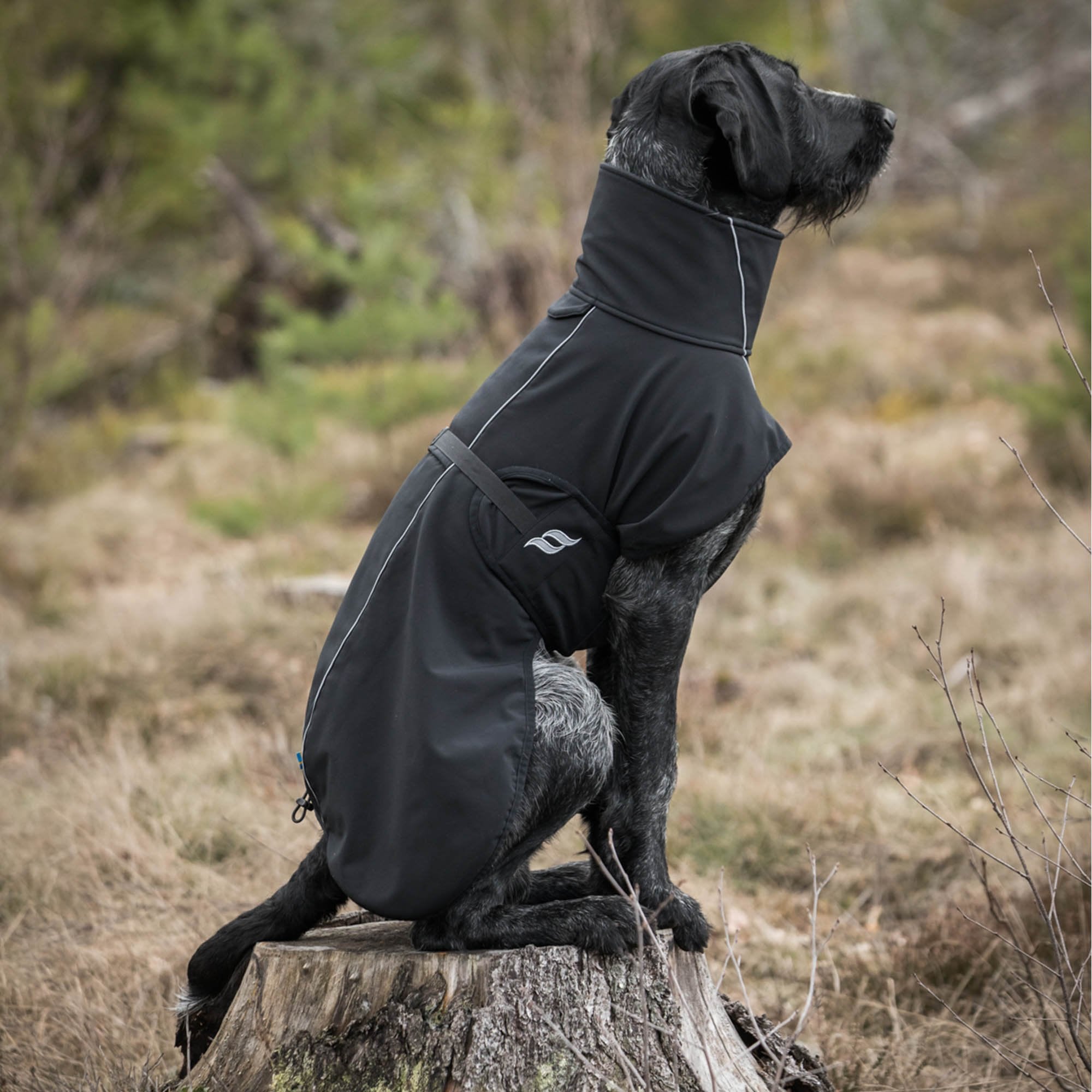 "Bark" All-round hondenjas - Zwart