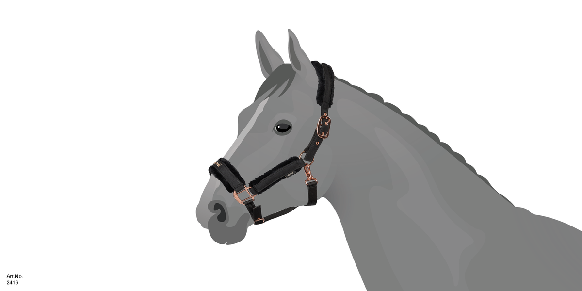 HAZE COLLECTION HALSTER MAATTABEL – Back on Track Nederland