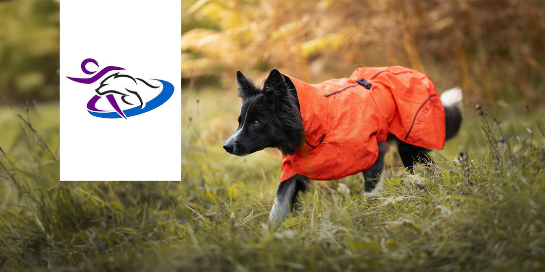 Agility VDH Deutsche Meisterschaft 2026: 24.-25.10.2026