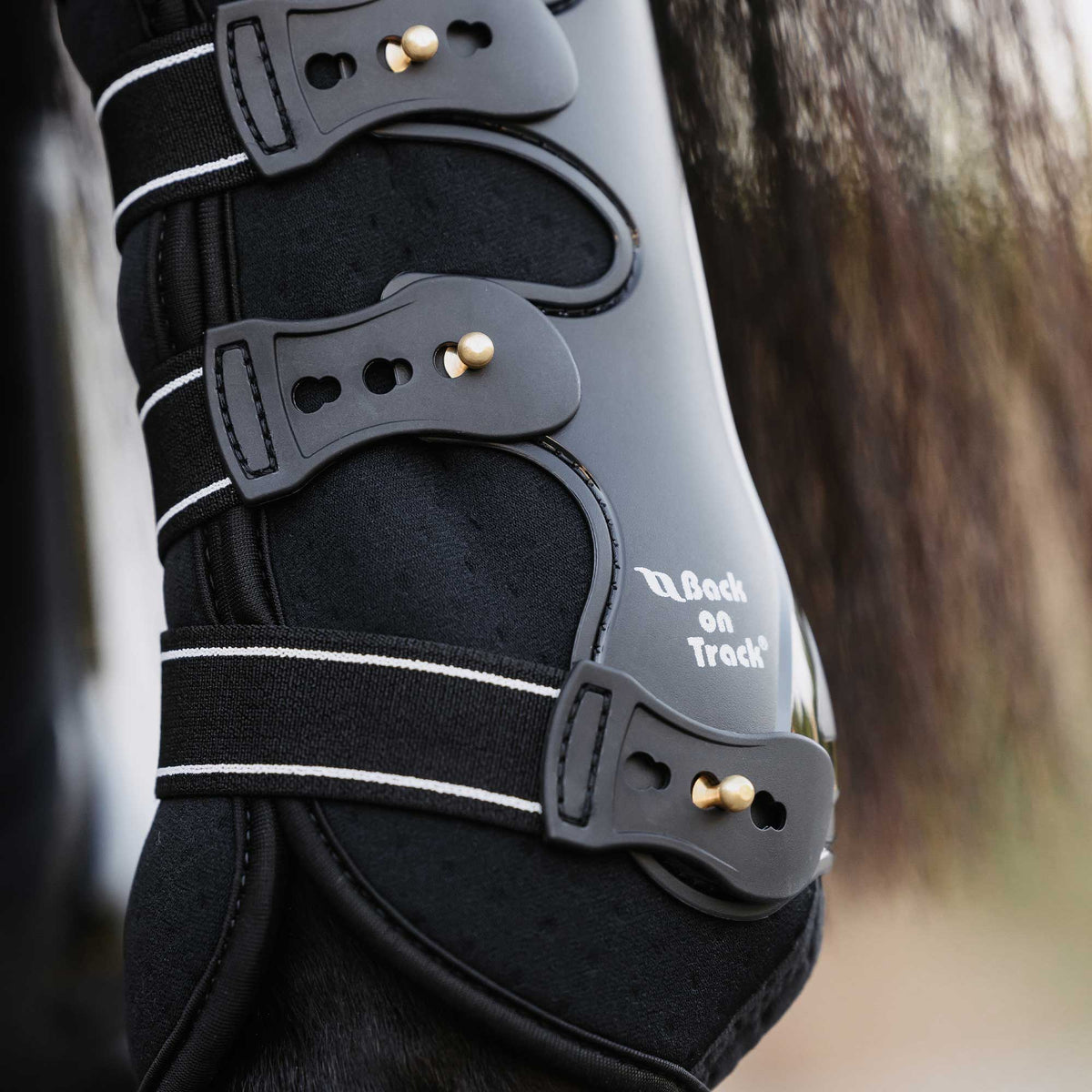 Royal Work Boots, Achterbenen