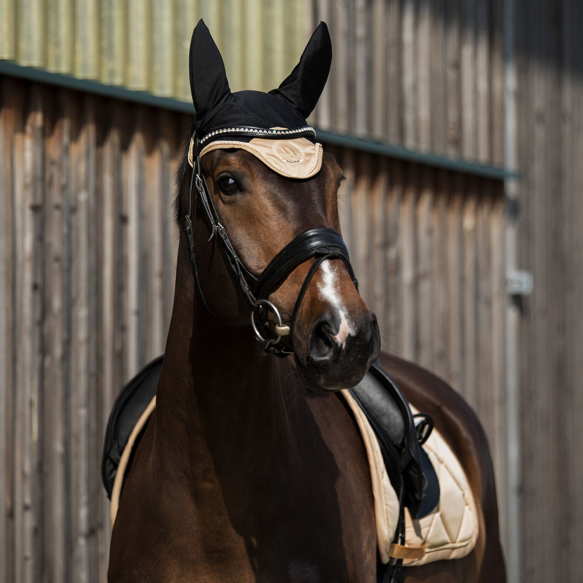 "Nights Collection" Oornetje
