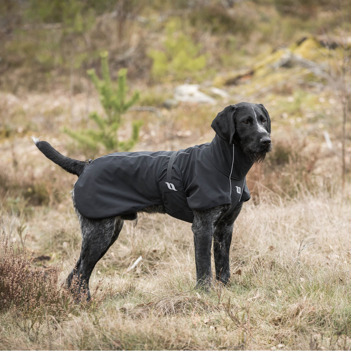 BARK Softshell Hondenjas, Hoog aangezette staart