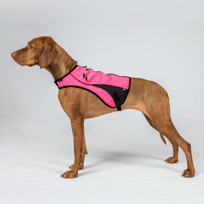 POINT Visibility Honden Vest