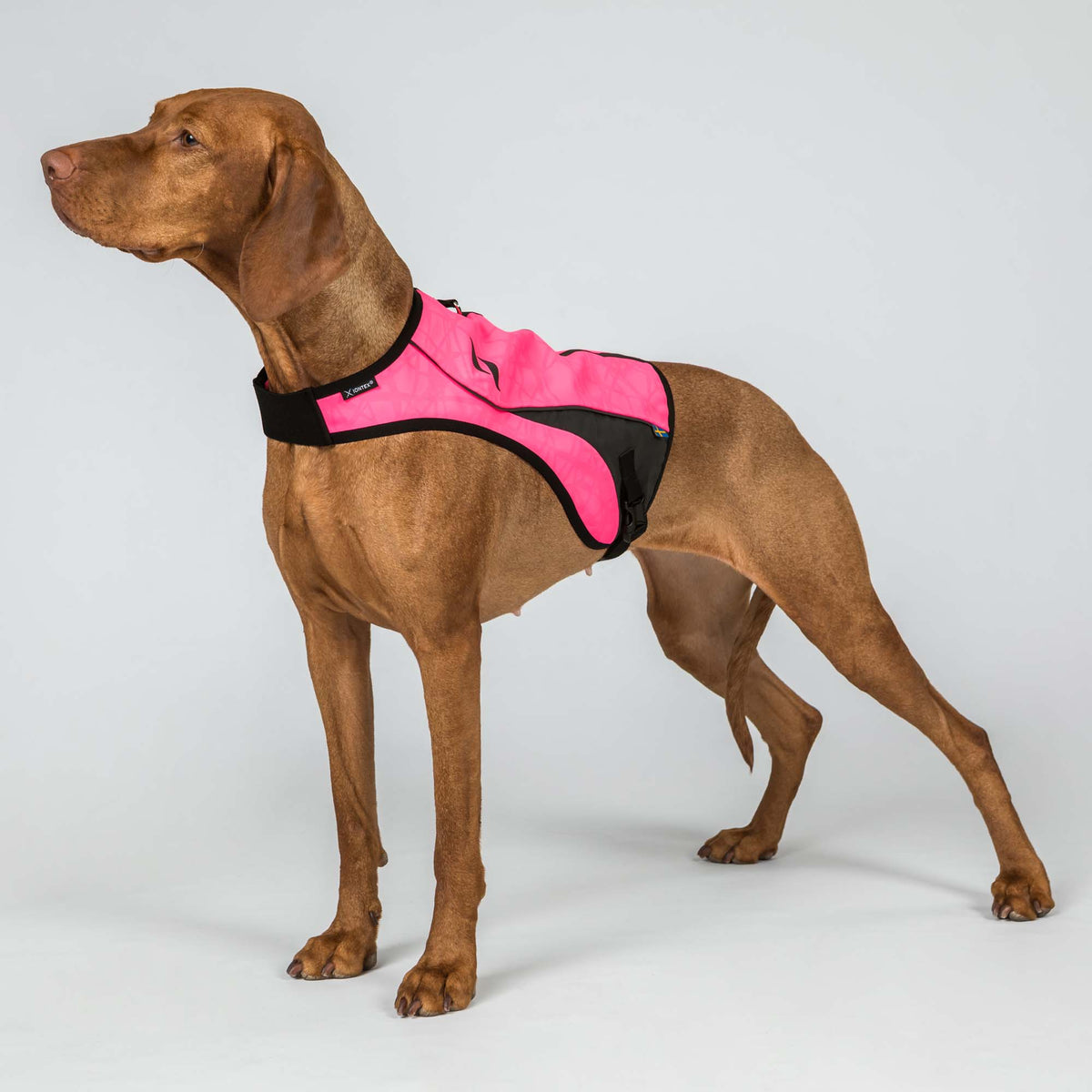 POINT Visibility Honden Vest