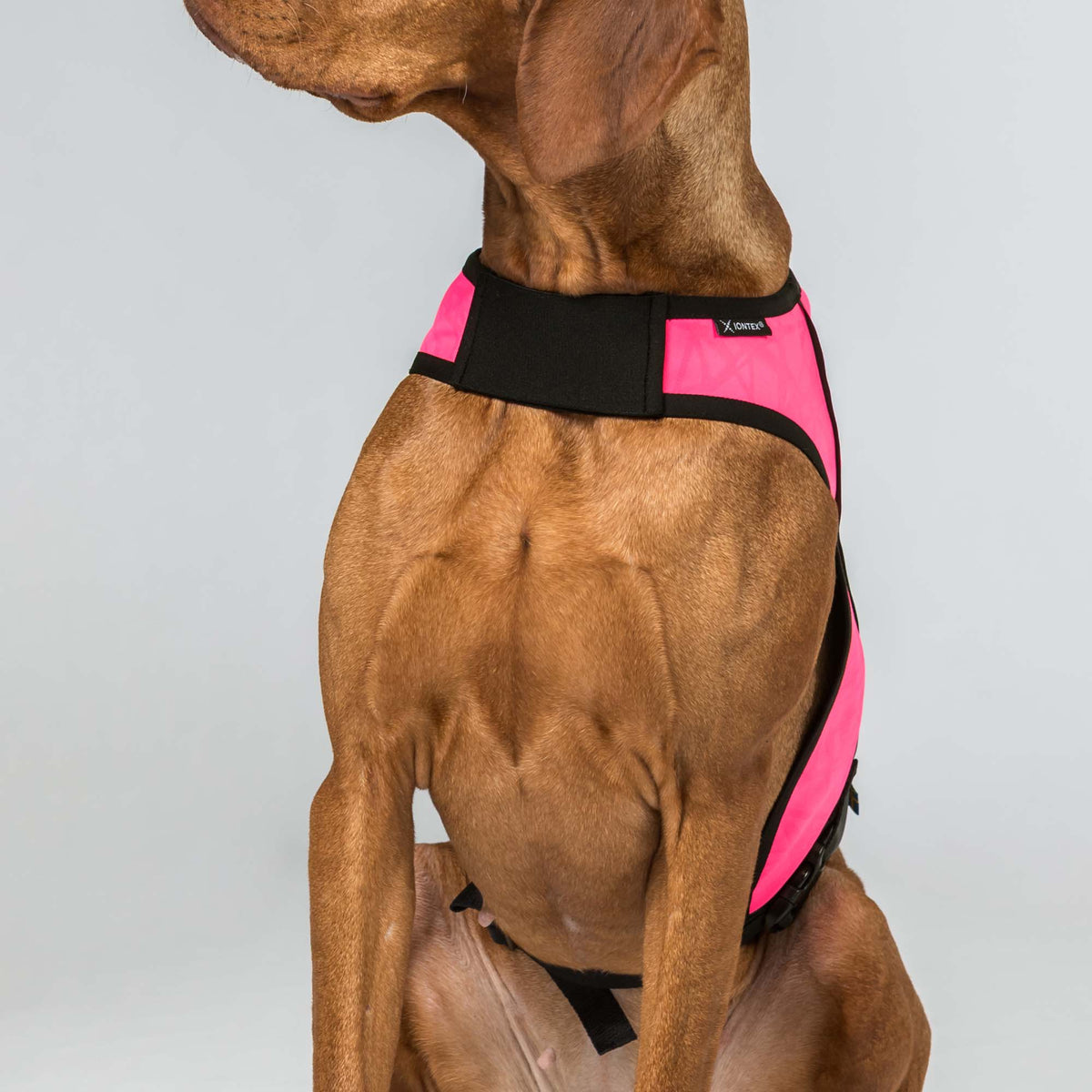 POINT Visibility Honden Vest