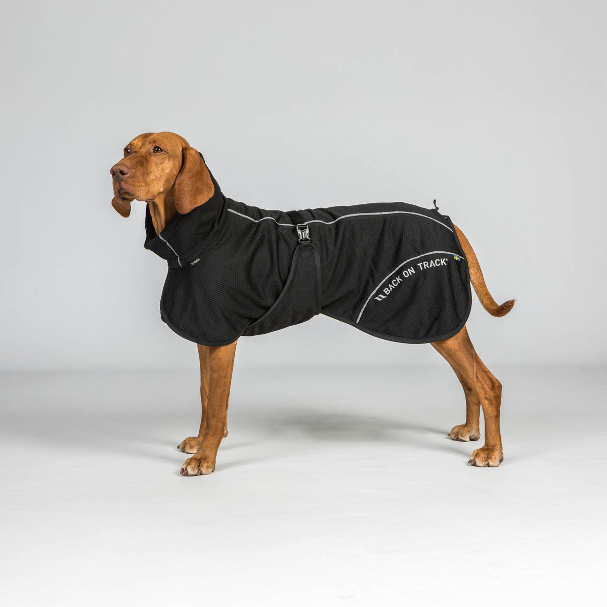 BAY Mesh dog coat, High set tail