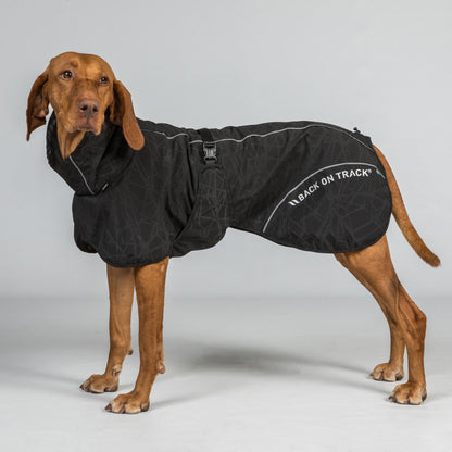 BAY Regendeken voor Honden, Hoog aangezette staart