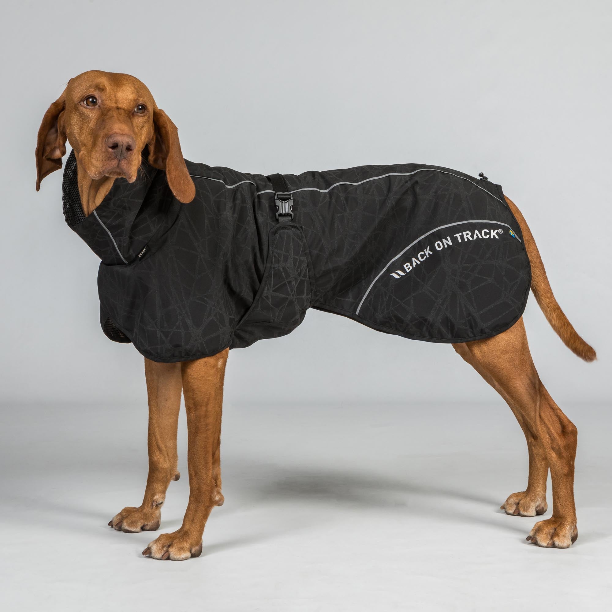 BAY Regendeken voor Honden, Hoog aangezette staart