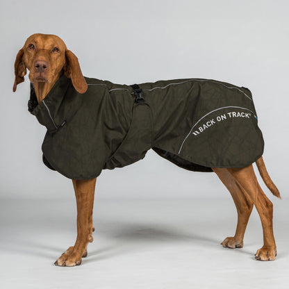 BAY Regendeken voor Honden, Hoog aangezette staart