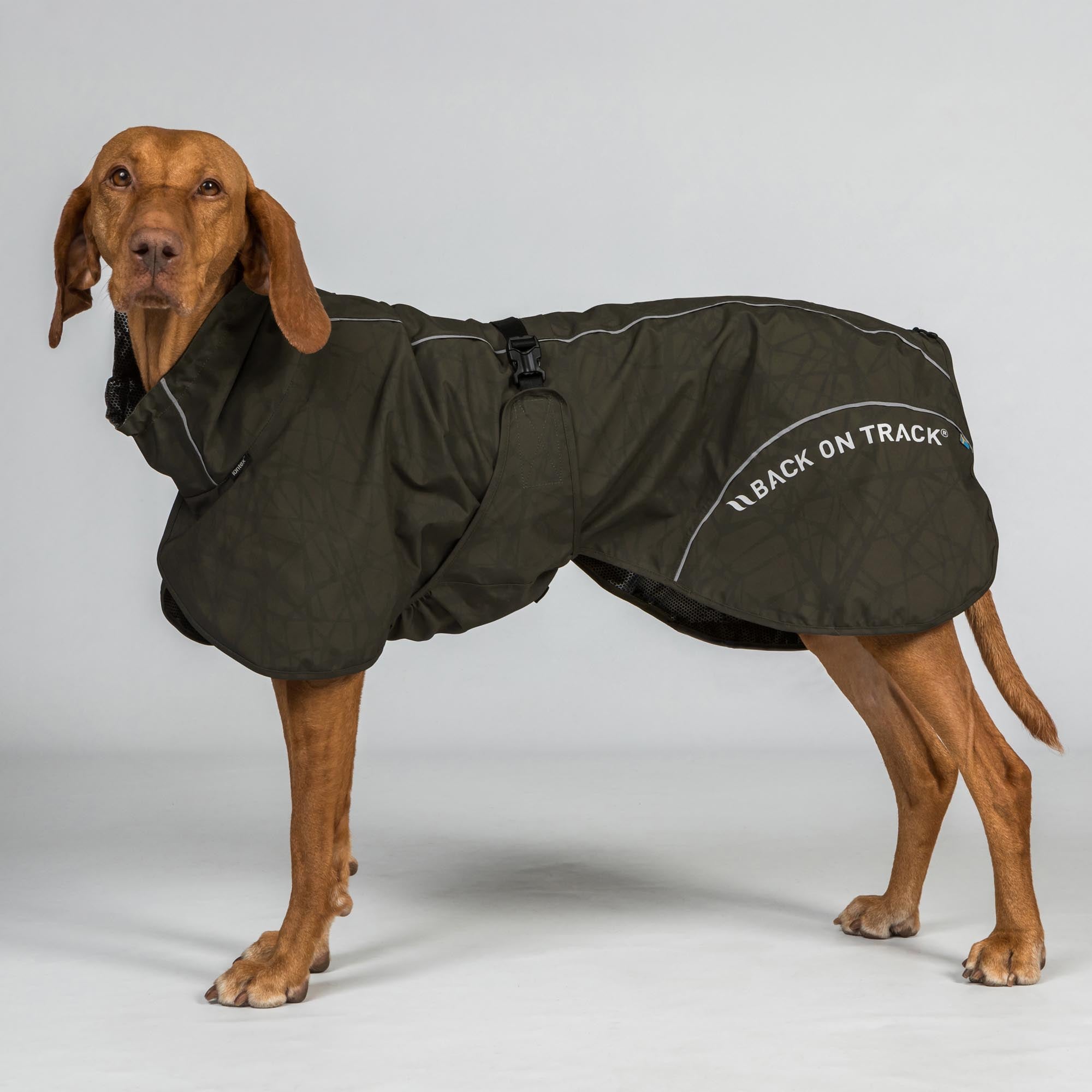 BAY Regendeken voor Honden, Hoog aangezette staart