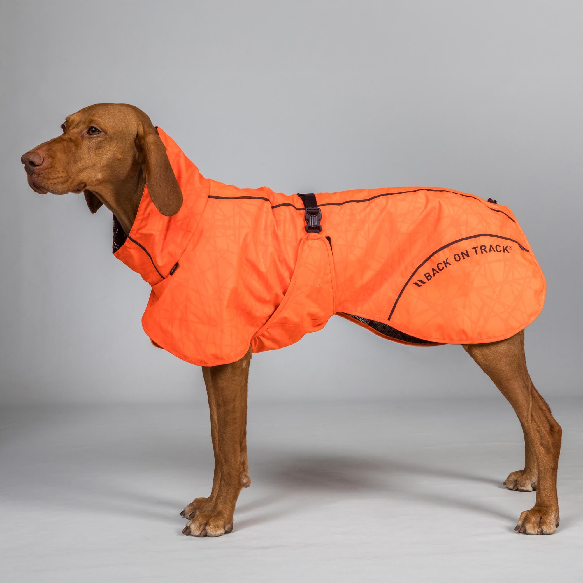 BAY Regendeken voor Honden, Hoog aangezette staart