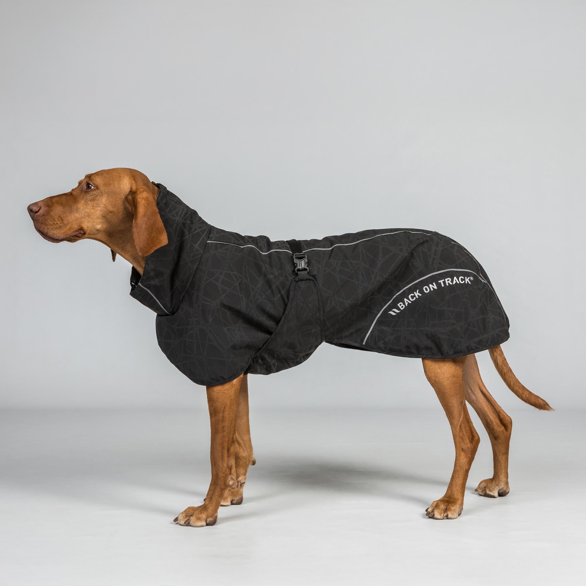 BAY Regendeken voor Honden, Niedriger Rutenansatz