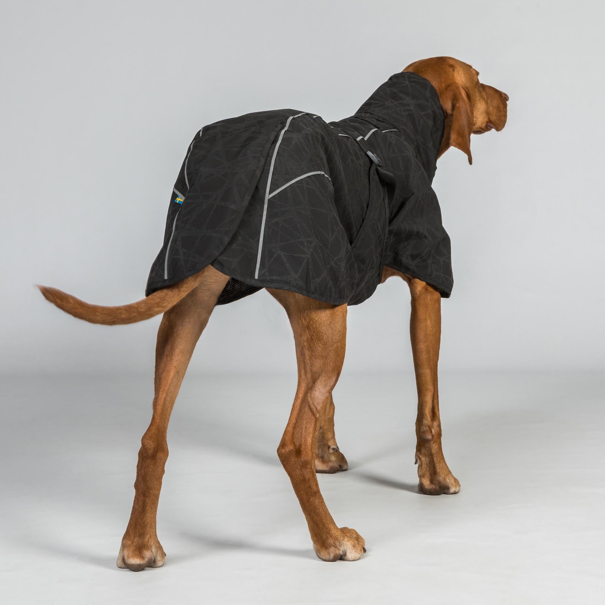 BAY Regendeken voor Honden, Niedriger Rutenansatz