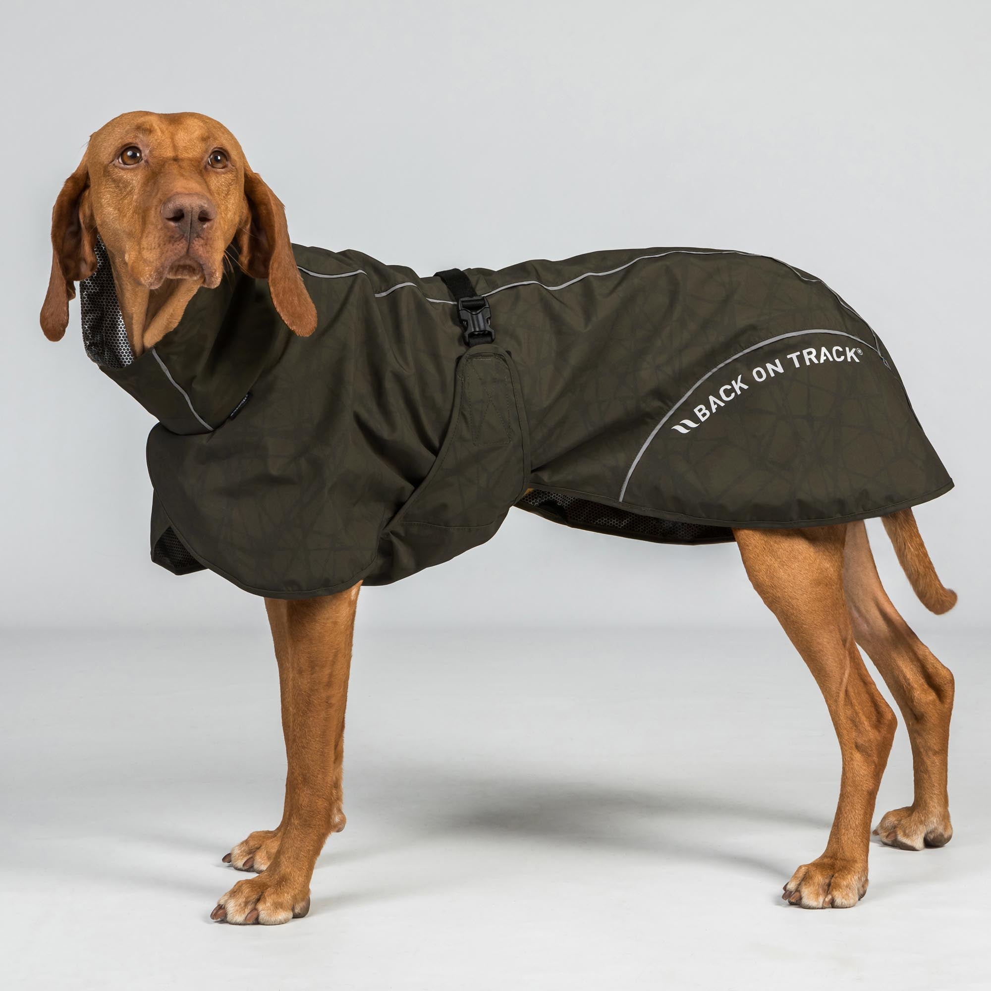 BAY Regendeken voor Honden, Niedriger Rutenansatz