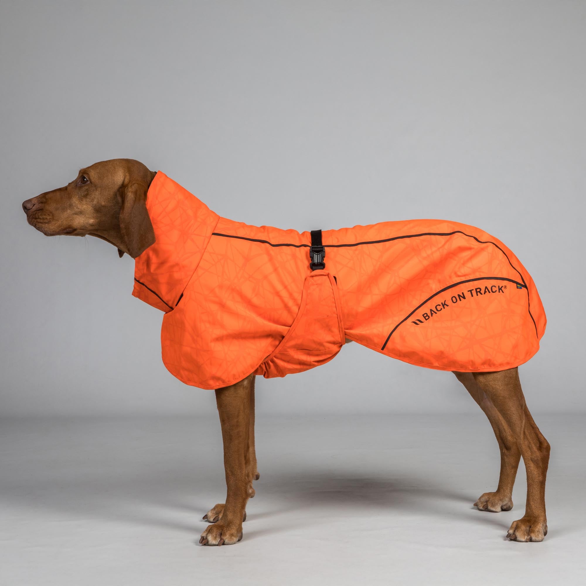 BAY Regendeken voor Honden, Niedriger Rutenansatz