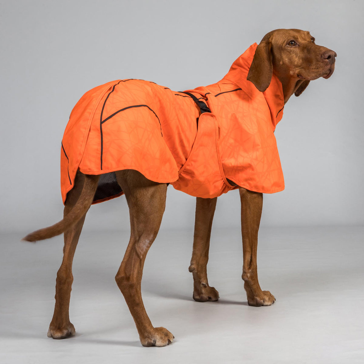BAY Regenjas voor Honden, Laag aangezette staart