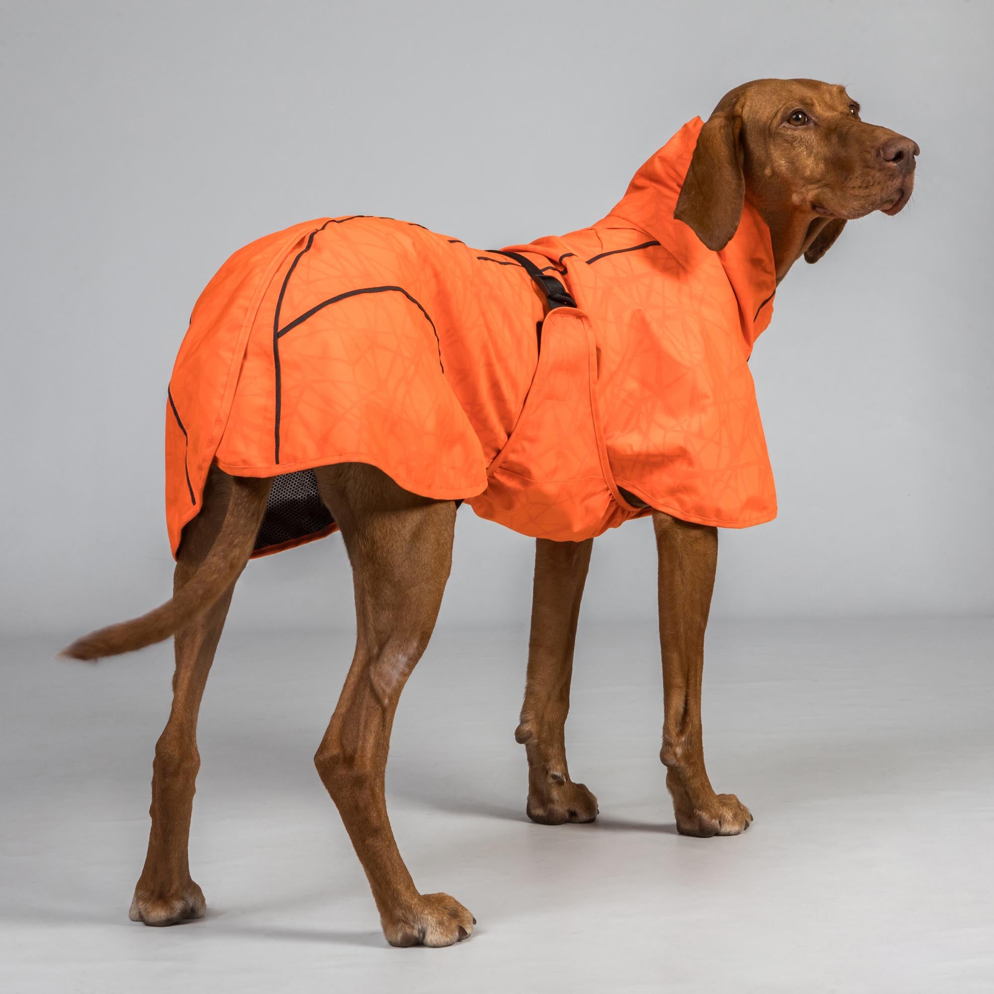 BAY Regendeken voor Honden, Niedriger Rutenansatz