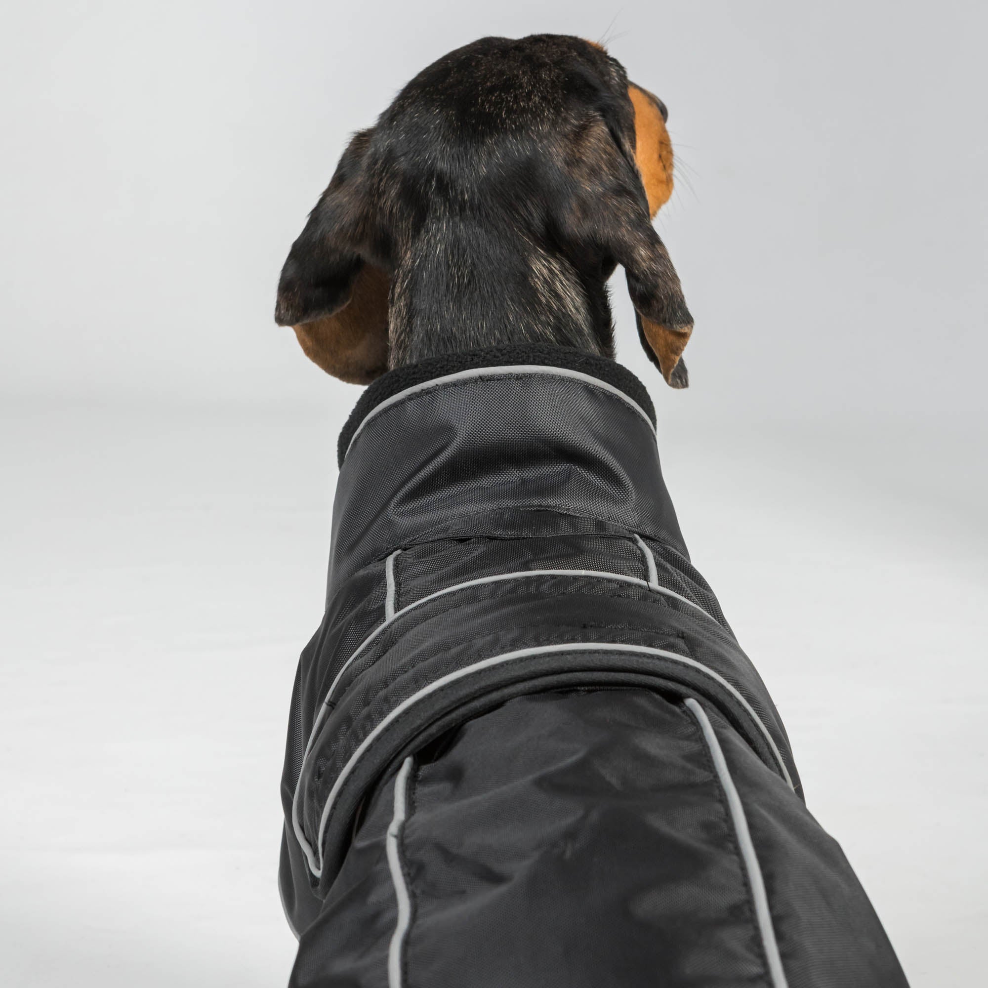 Buddy 2.0 Hondenjas met vulling