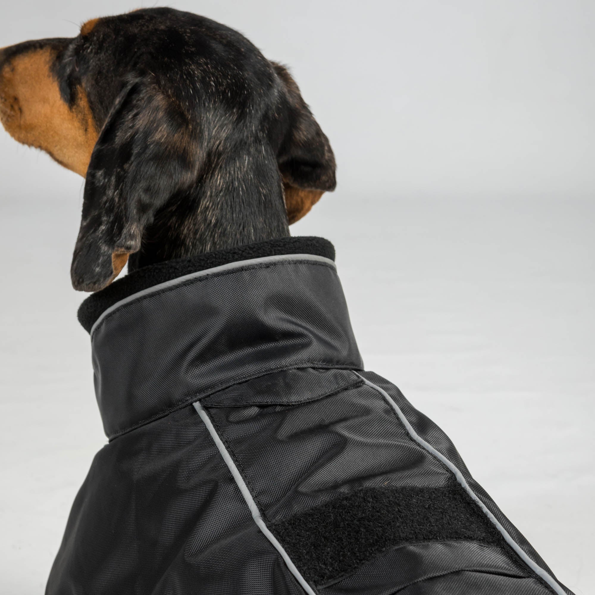 Buddy 2.0 Hondenjas met vulling