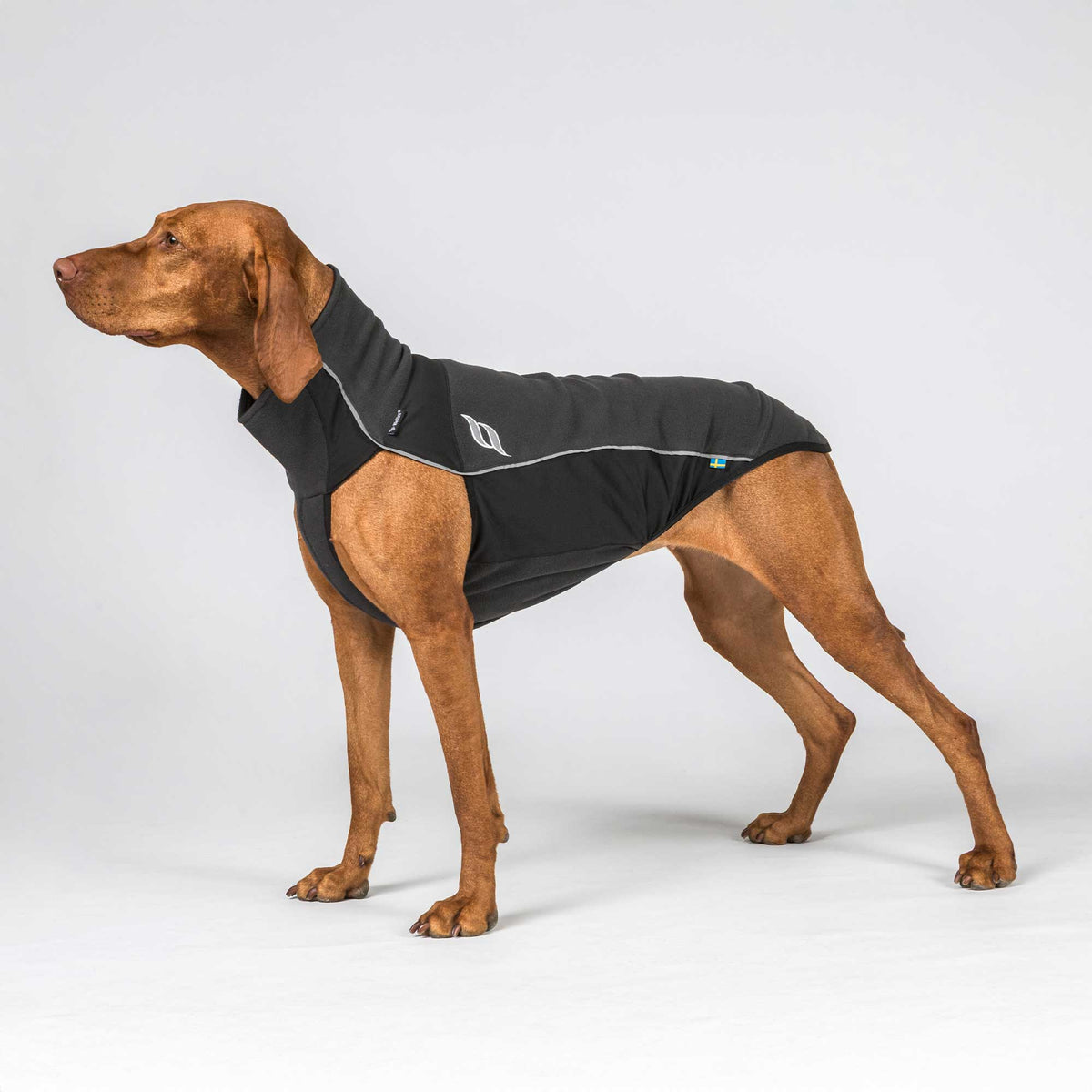BARK Base layer Suit