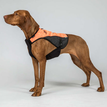 TRAKK 2.0 Visibility Dog Chest Guard