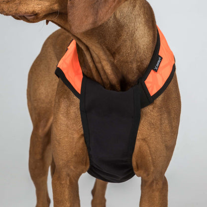 TRAKK 2.0 Visibility Dog Chest Guard