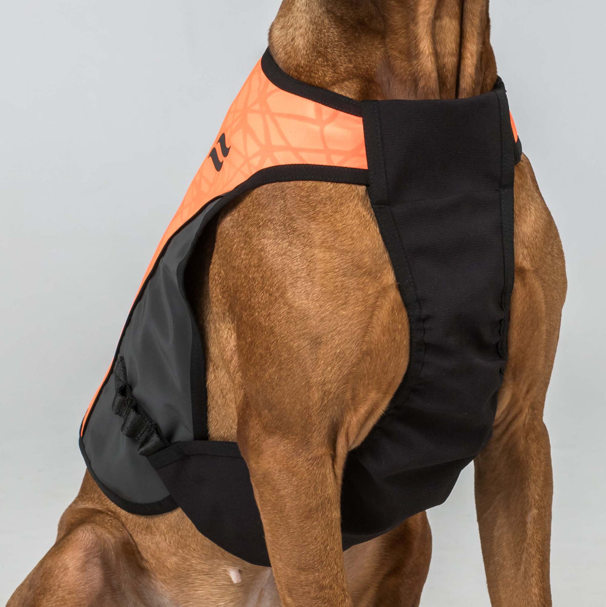 TRAKK 2.0 Visibility Dog Chest Guard