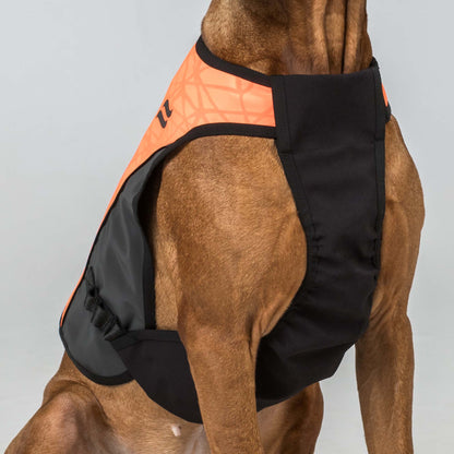 TRAKK 2.0 Visibility Dog Chest Guard