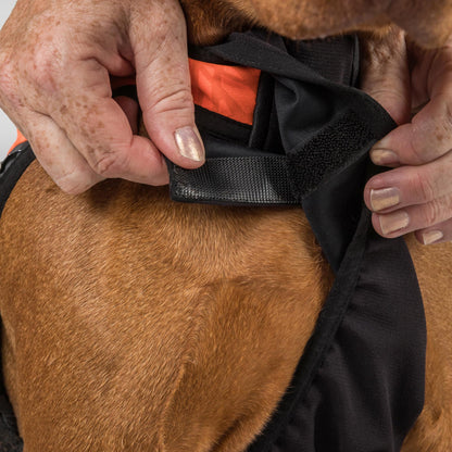 TRAKK 2.0 Visibility Dog Chest Guard