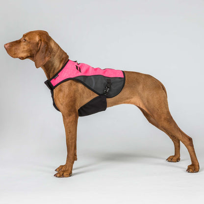TRAKK 2.0 Visibility Dog Chest Guard