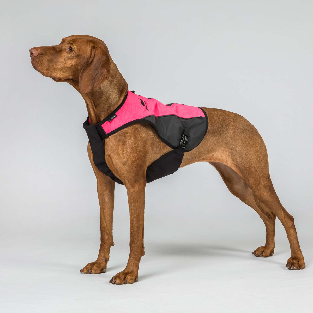 TRAKK 2.0 Visibility Dog Chest Guard