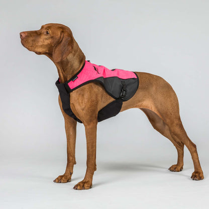 TRAKK 2.0 Visibility Dog Chest Guard