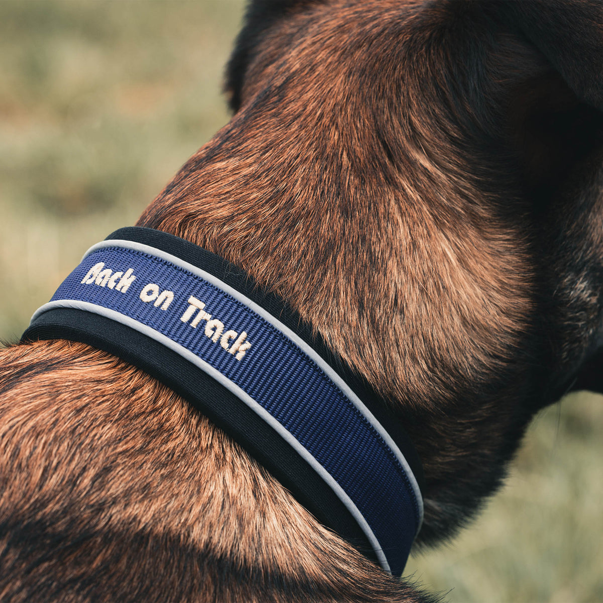 "Charlie" Hondenhalsband