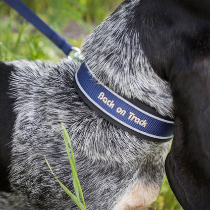 "Charlie" Hondenhalsband