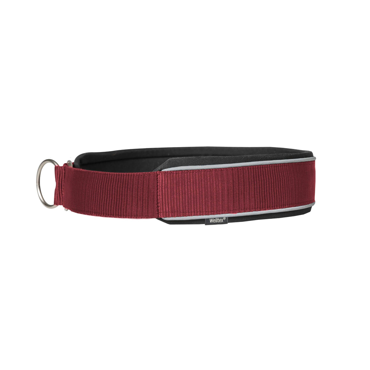 "Charlie" Hondenhalsband