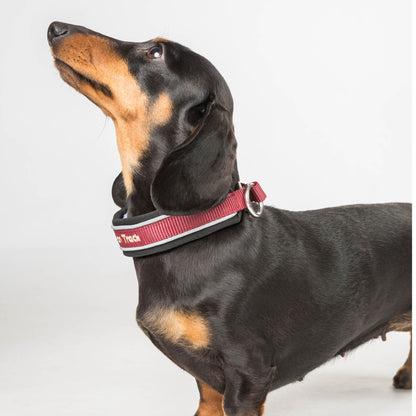 "Charlie" Hondenhalsband