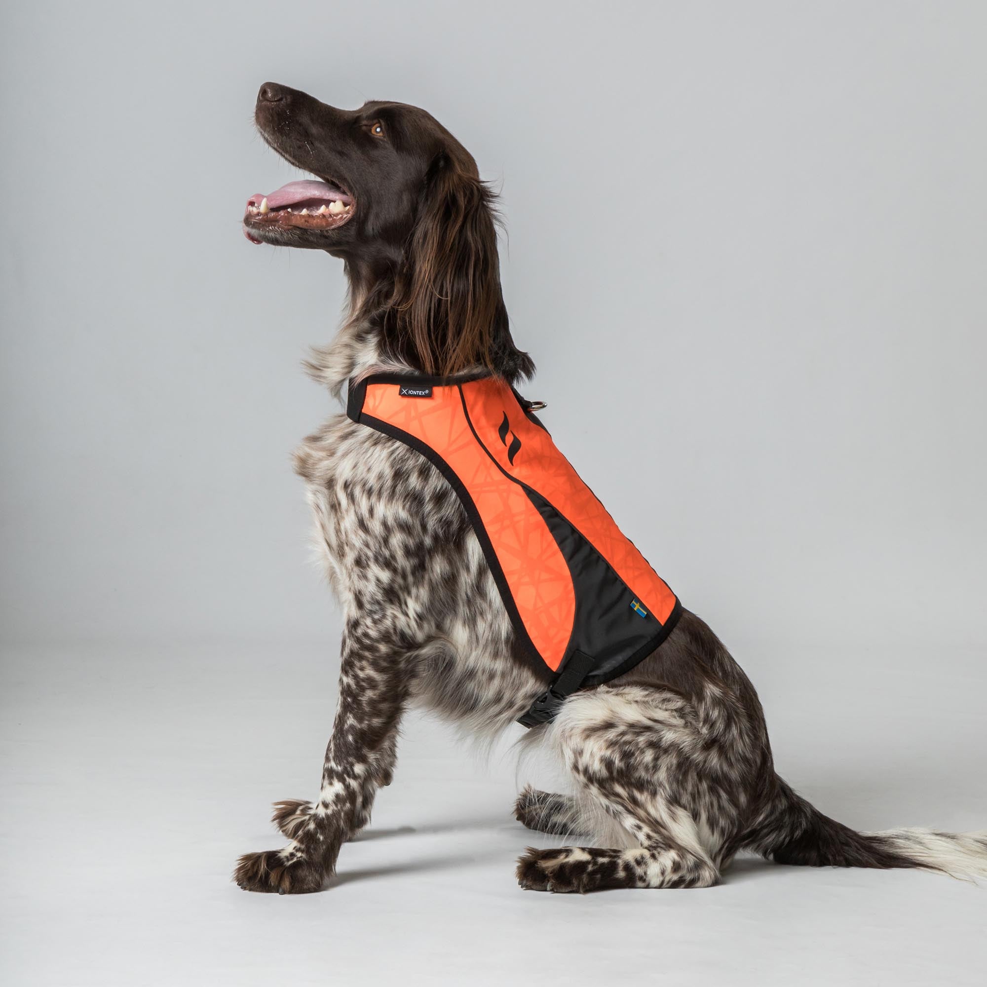 POINT Visibility Honden Vest