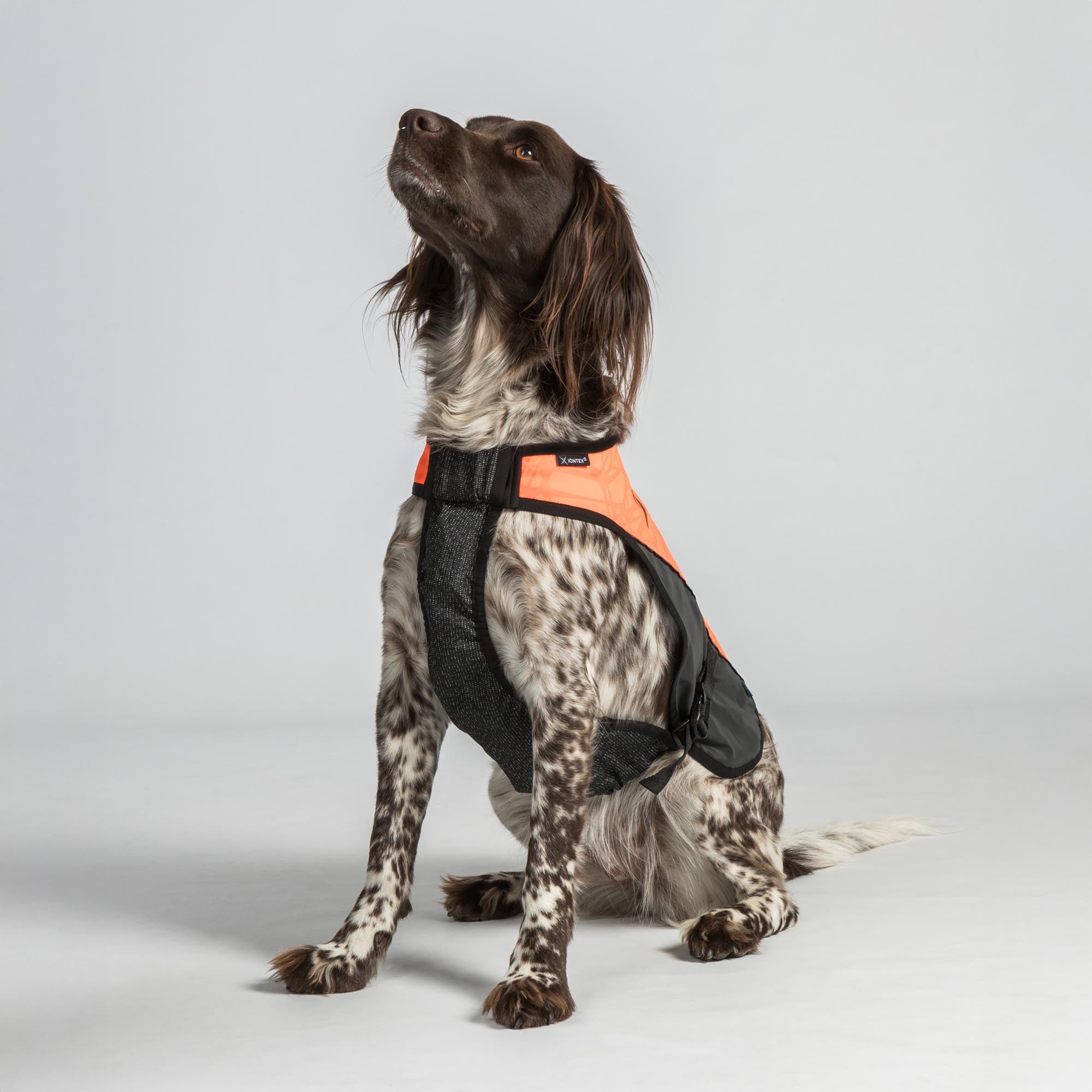 TRAKK Visibility Honden Vest
