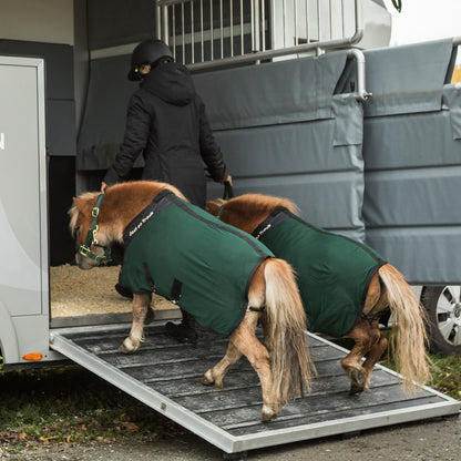 Ponies wearing Royal Pony Mesh Rug Deluxe | single:75 cm