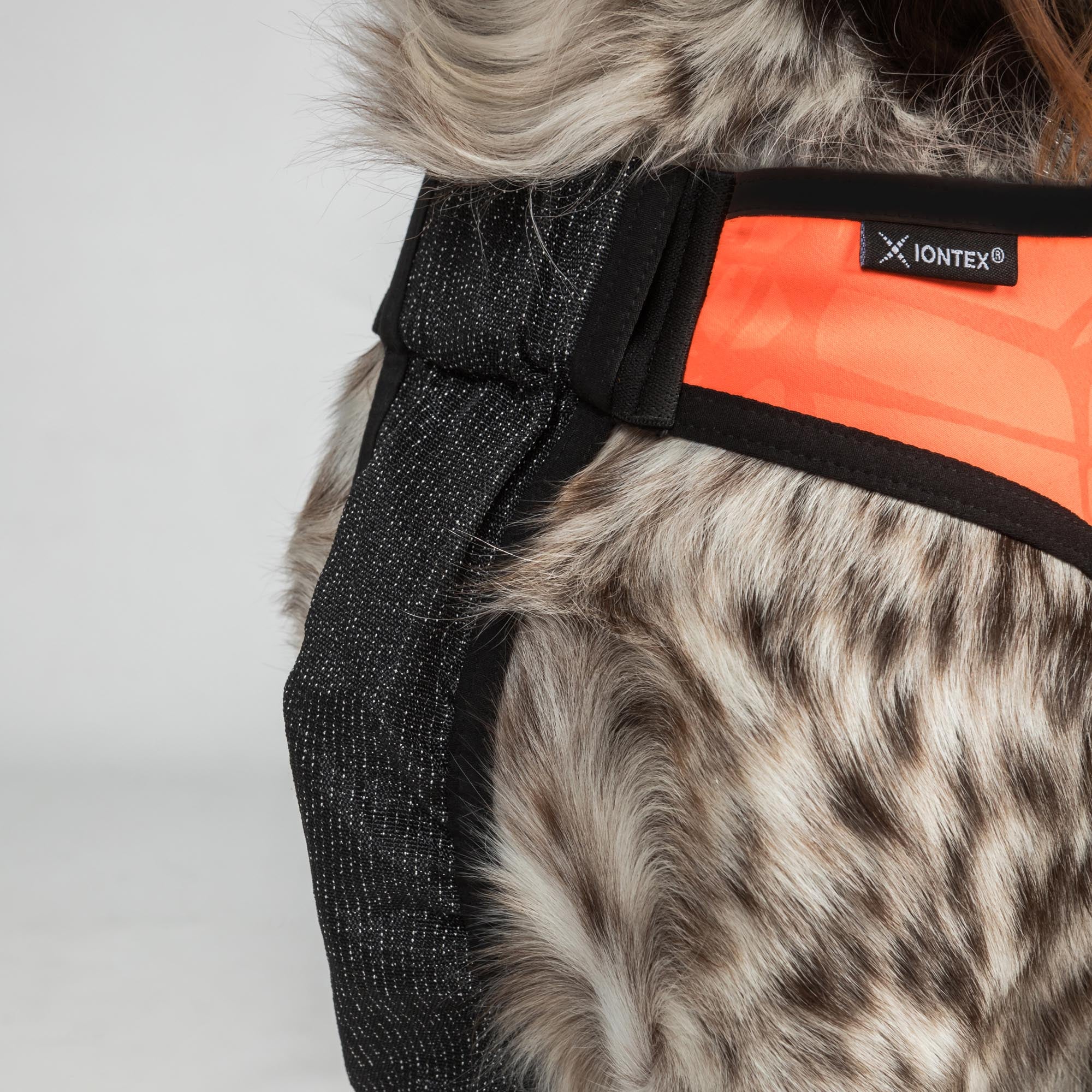 TRAKK Visibility Honden Vest