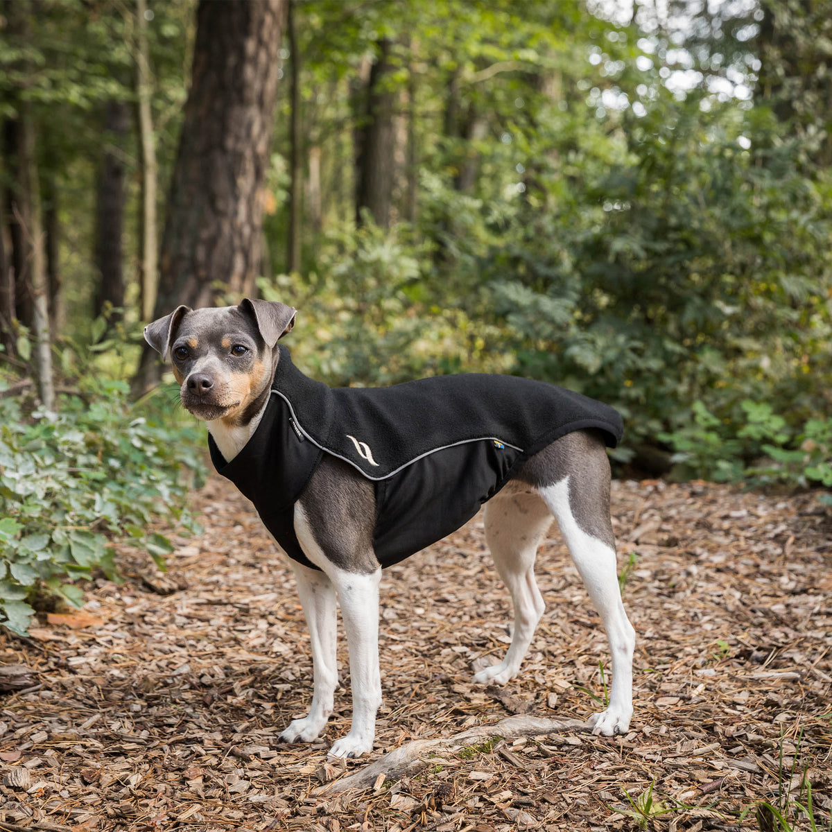 "Eddie" Petite Fleece Trui