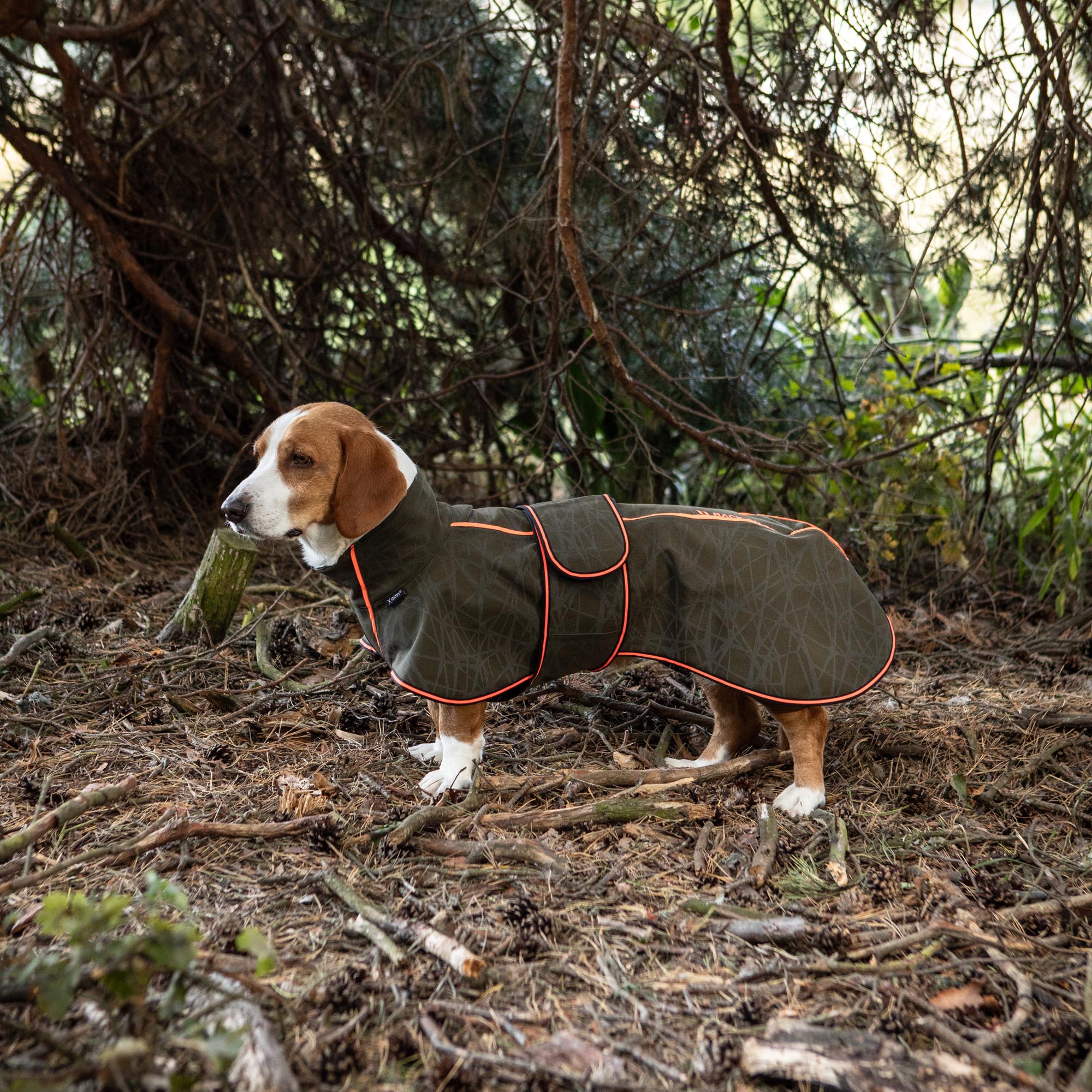 Buddy 2.0 Softshell Hondenjas