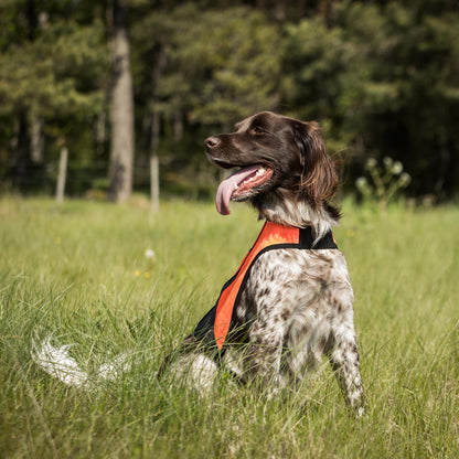 POINT Visibility Honden Vest