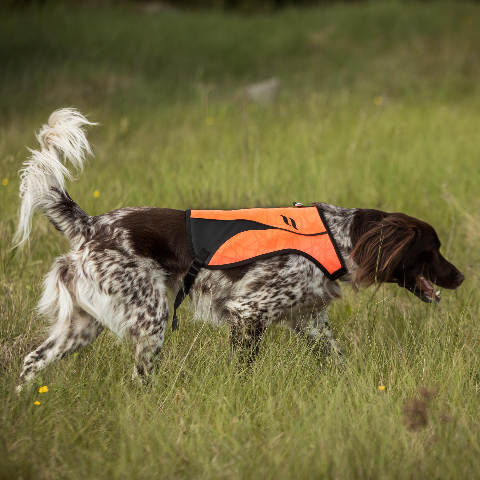 POINT Visibility Honden Vest