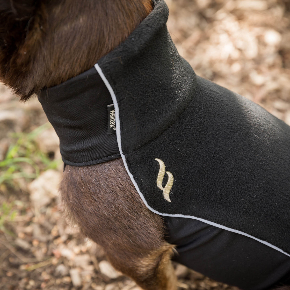 "Eddie" Petite Fleece Trui